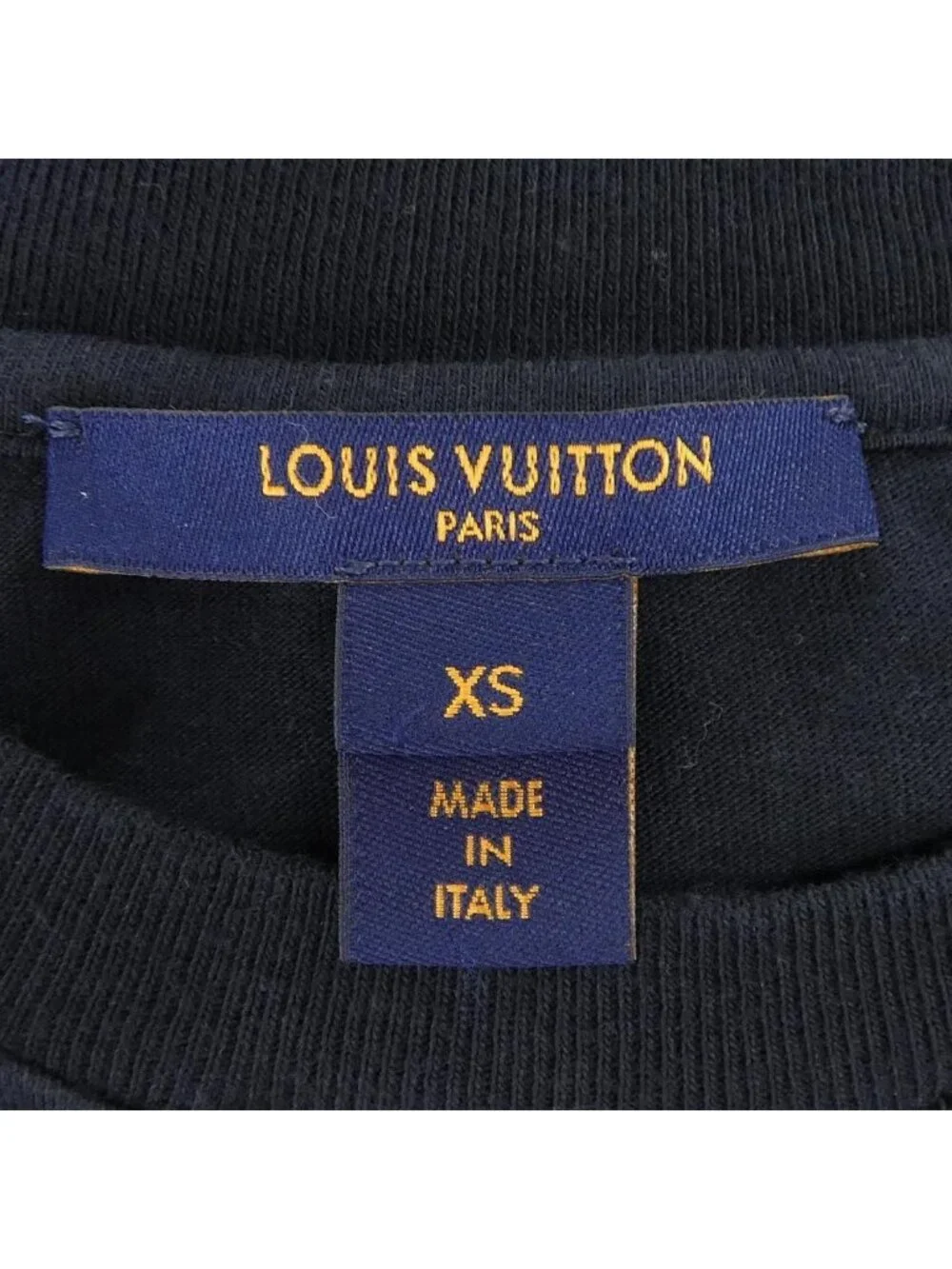 Louis Vuitton brand louis